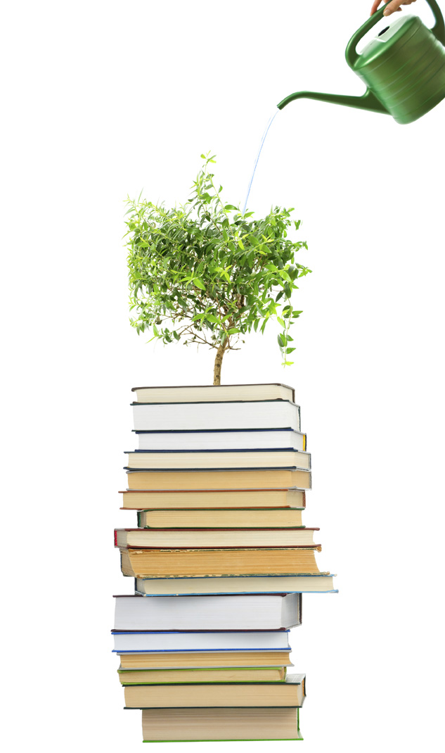 Maintaining the knowledge base